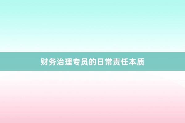 财务治理专员的日常责任本质
